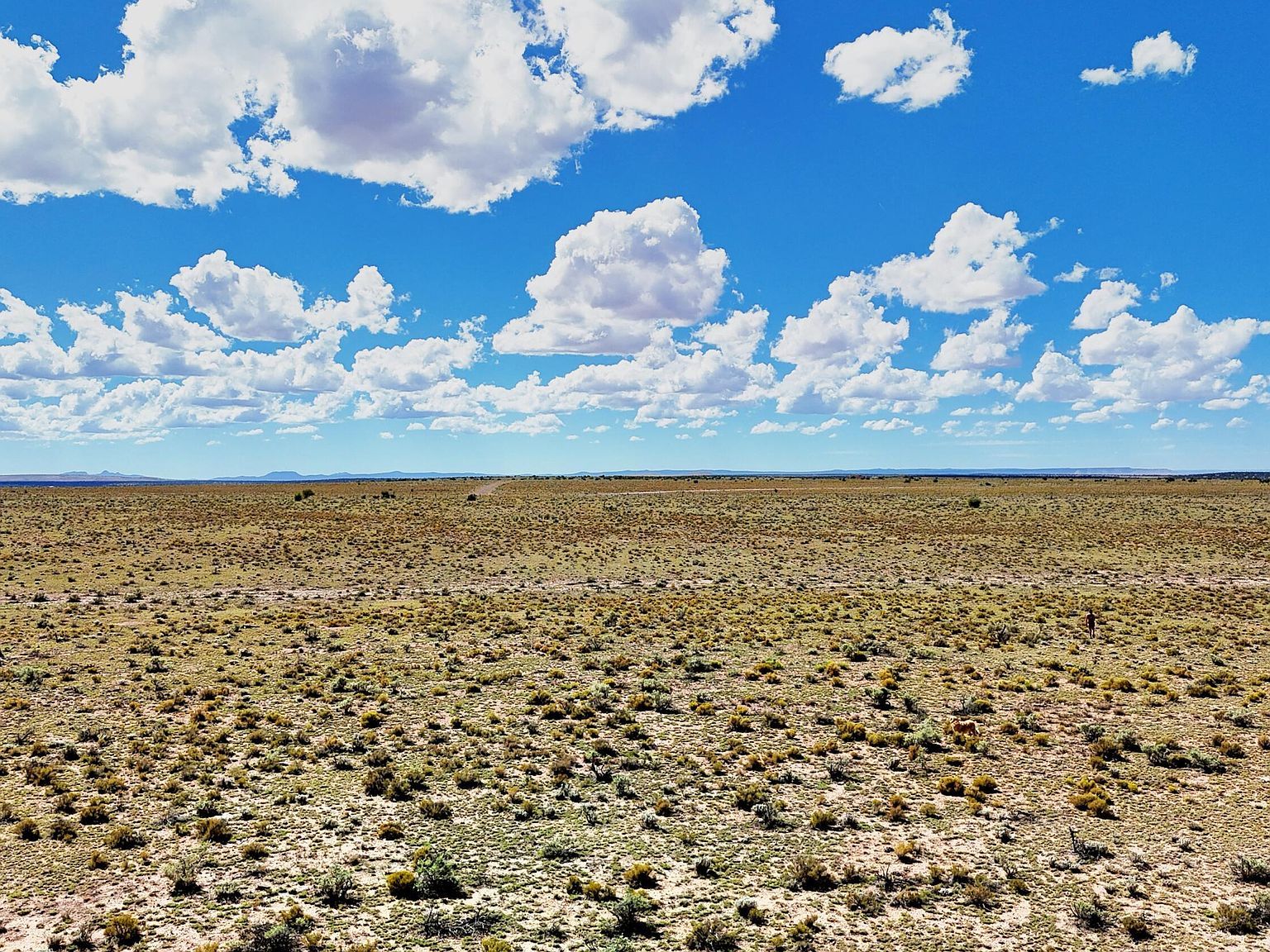 6622 S Prairie Grass Ln Williams, AZ 86046 - Thumbnail 2