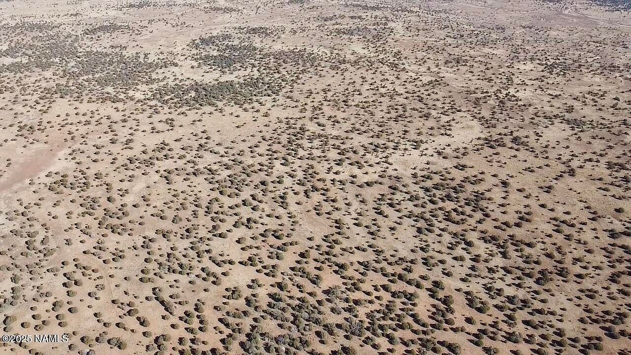 54 N 7493rd Saint Johns, AZ 85936 - Thumbnail 2