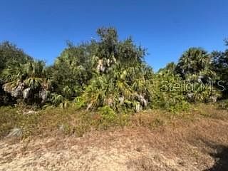 LOT 4 Mattox Cir North Pt, FL 34288 - Thumbnail 2