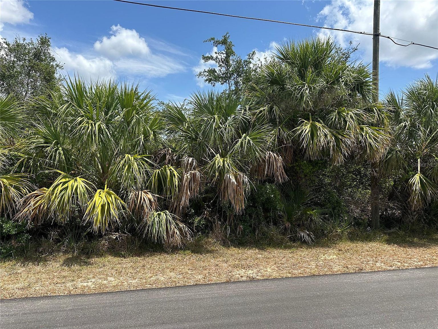 12006 Grouse Ave Port Charlotte, FL 33981 - Thumbnail 2