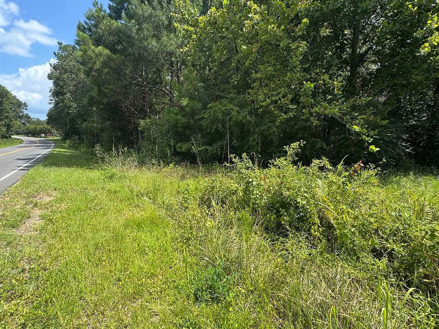 Tbd Society Dr Conway, SC 29527 - Thumbnail 2