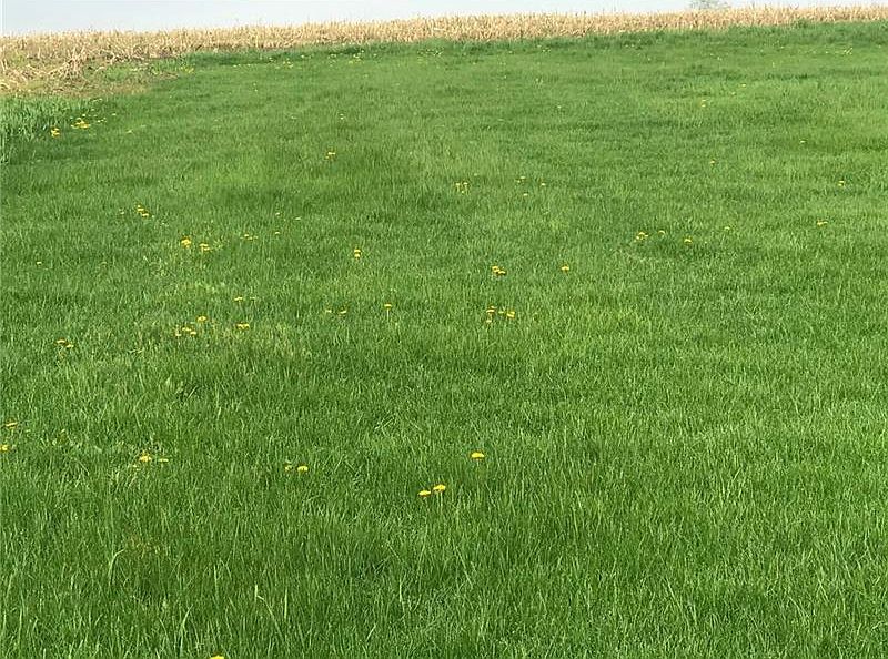 266 S Rebecca St Saxonburg, PA 16056 - Thumbnail 2