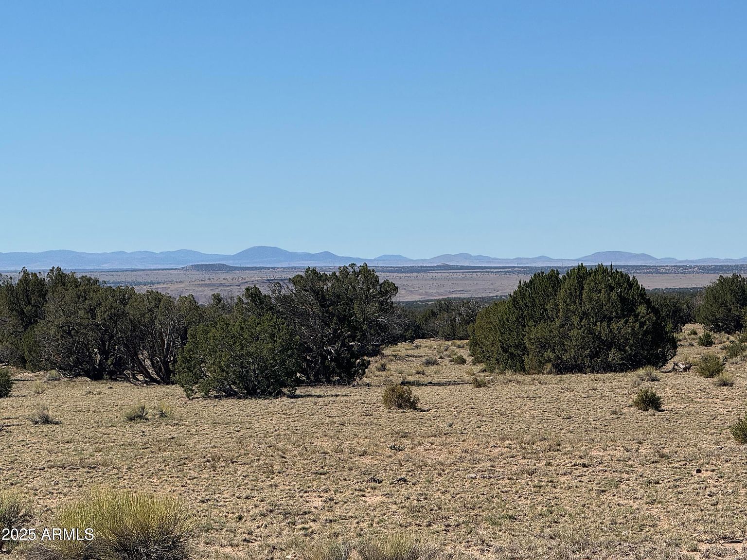 0 Woodlands Rnch LOT 704 Saint Johns, AZ 85936 - Thumbnail 2