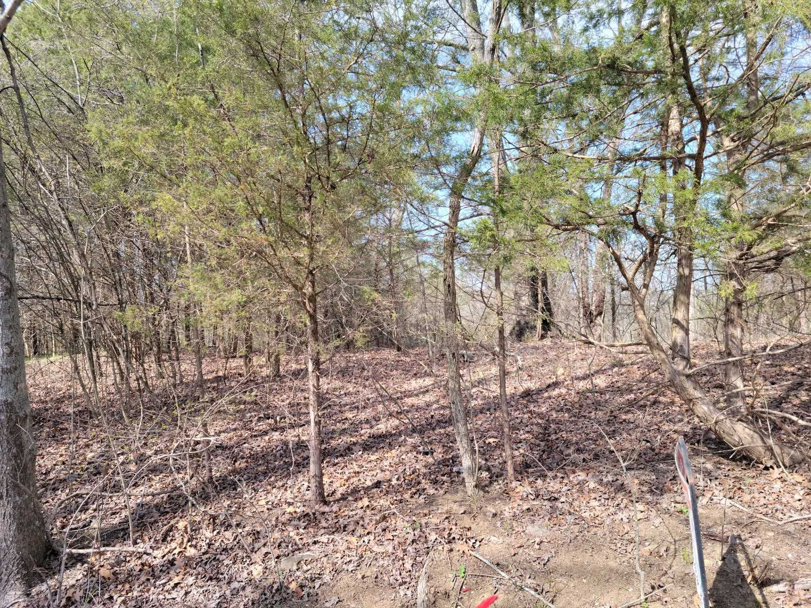 Union Ridge Road, Frankfort, KY, USA, 40601 - Thumbnail 2