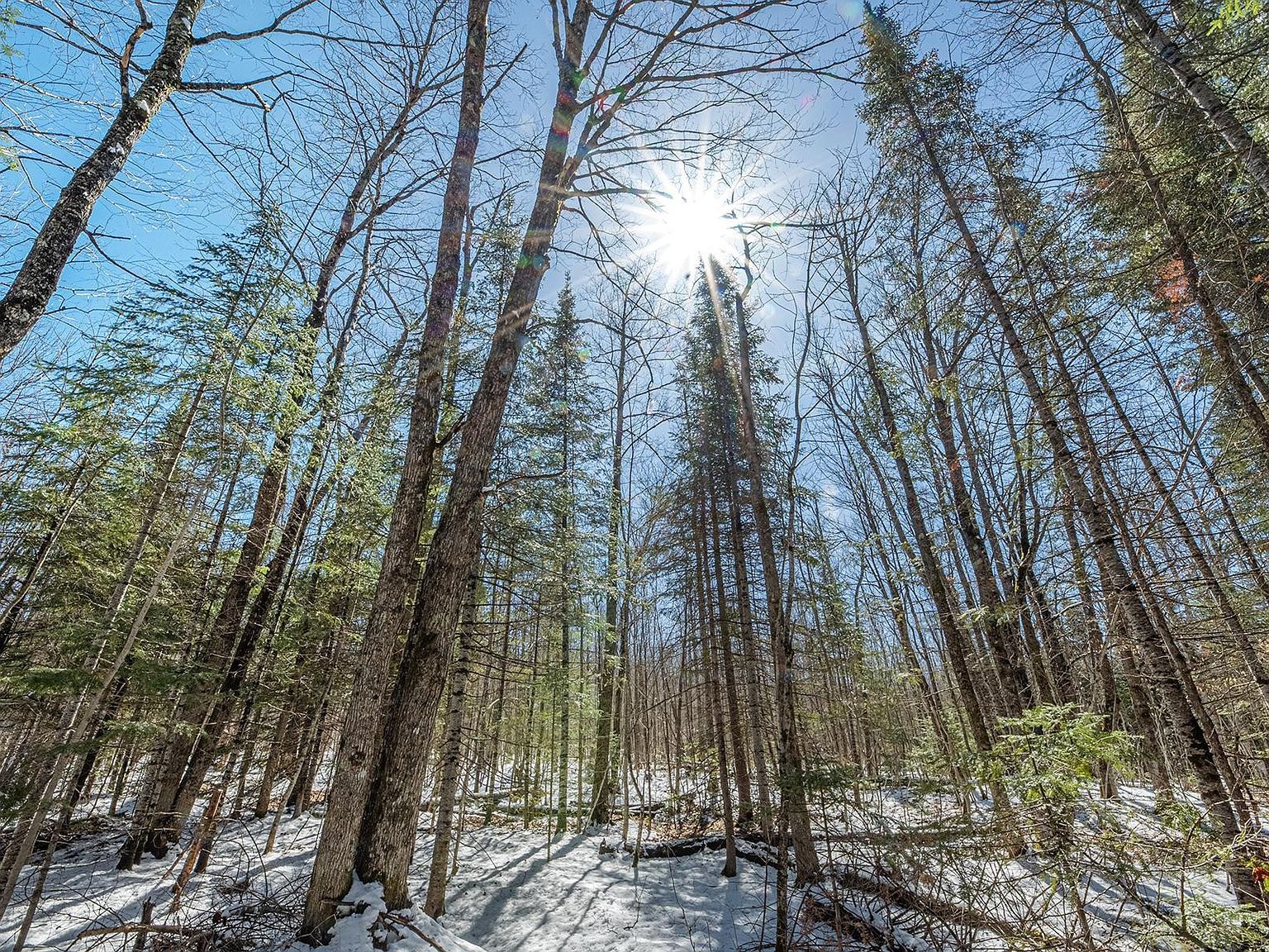 56.97 Ac Hwy #77 Upson, WI 54565 - Thumbnail 2