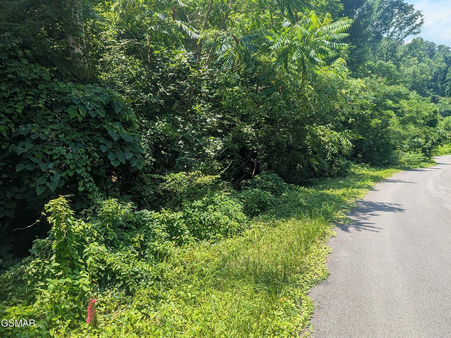 0 Beech Branch Rd, Gatlinburg, TN, 37738 - Thumbnail 2