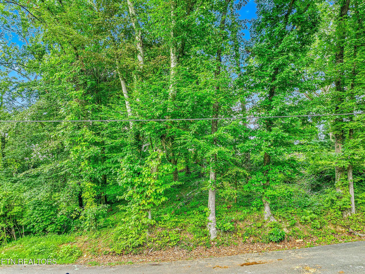 278 Harvest St Newport, TN 37821 - Thumbnail 2