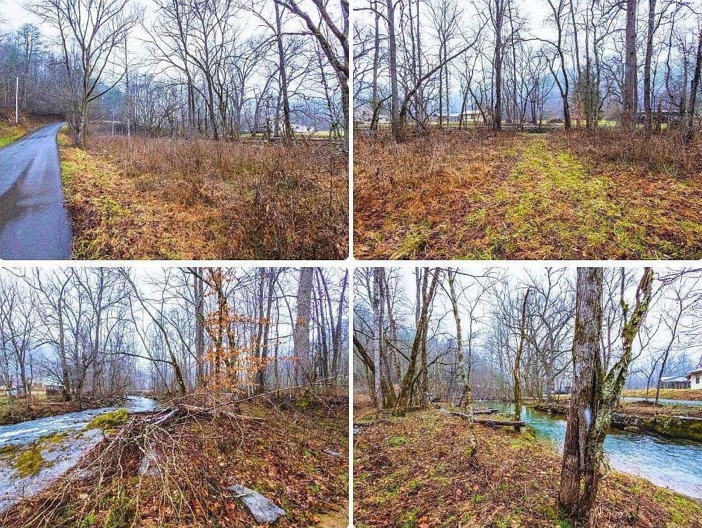 1392 Rocky Flats Rd Cosby, TN 37722 - Thumbnail 2