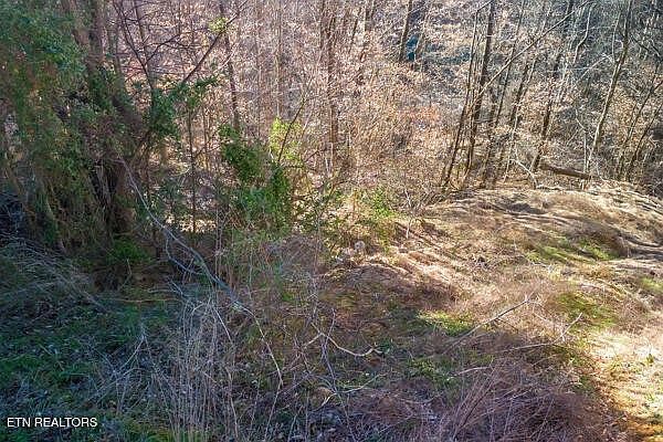 636 Stockton Dr Sevierville, TN 37876 - Thumbnail 2