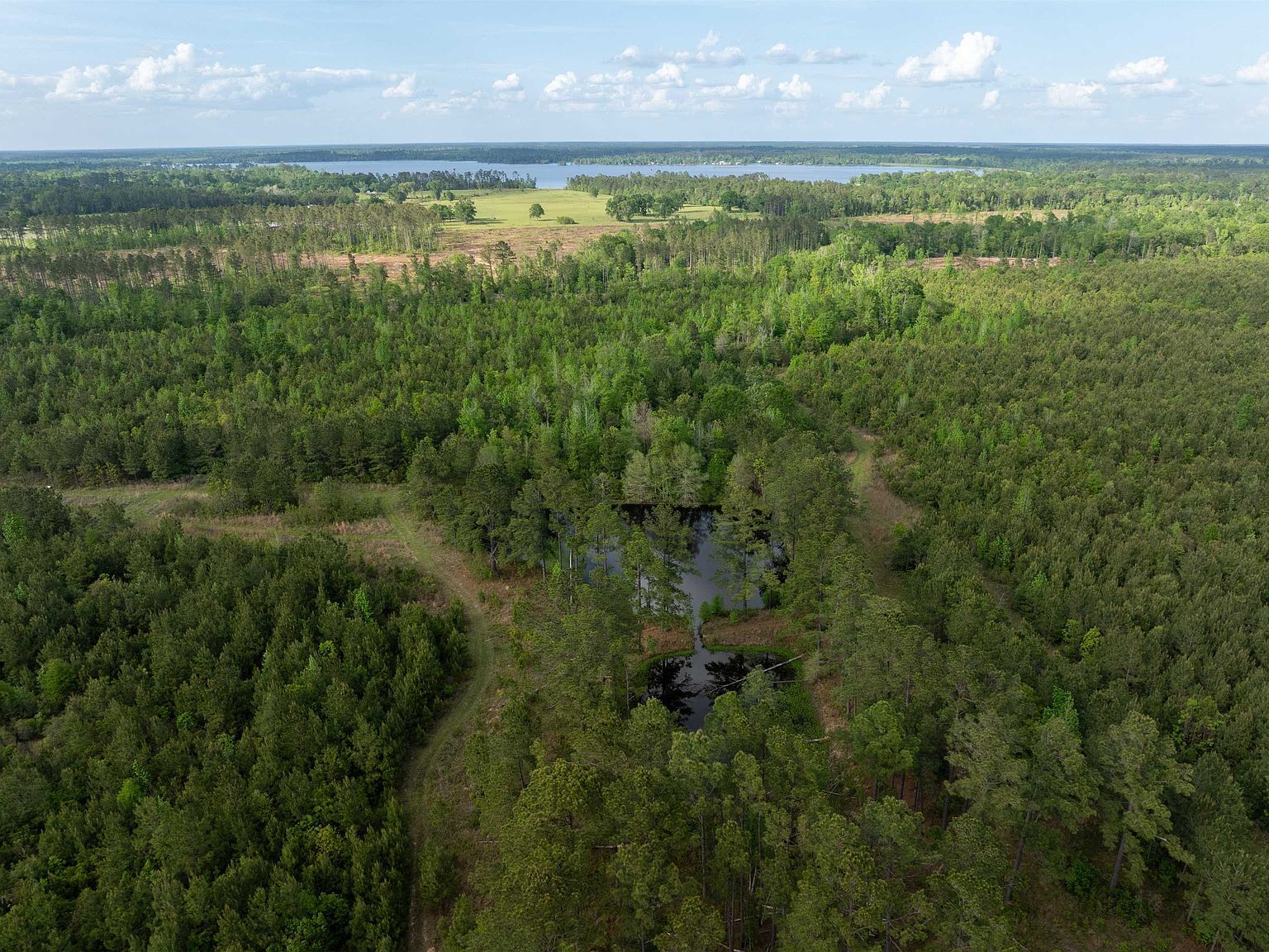 0 Odis Greene Rd Deridder, LA 70634  | Land/Lot