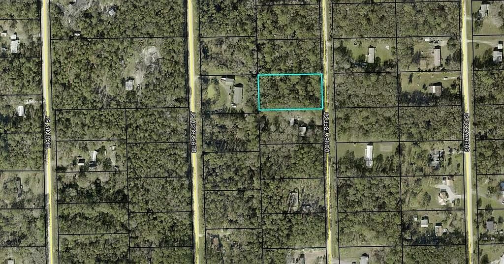 1230 Honeytree St Lot 23 Bunnell, FL 32110 - Thumbnail 2