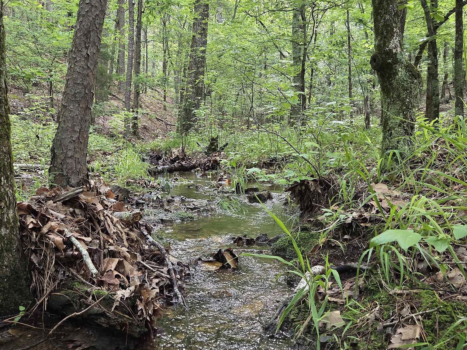 301 Chaparral Ln Mena, AR 71953 - Thumbnail 2