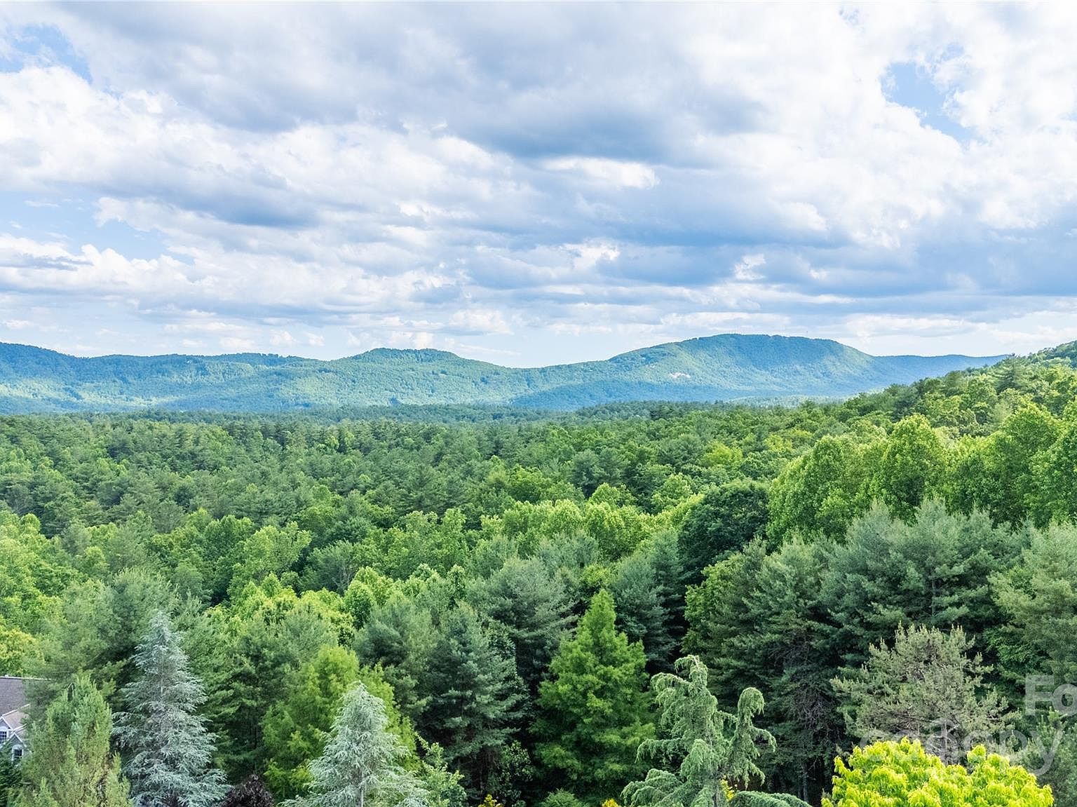 0 S Ridge Dr #61/62 Hendersonville, NC 28739 - Thumbnail 2