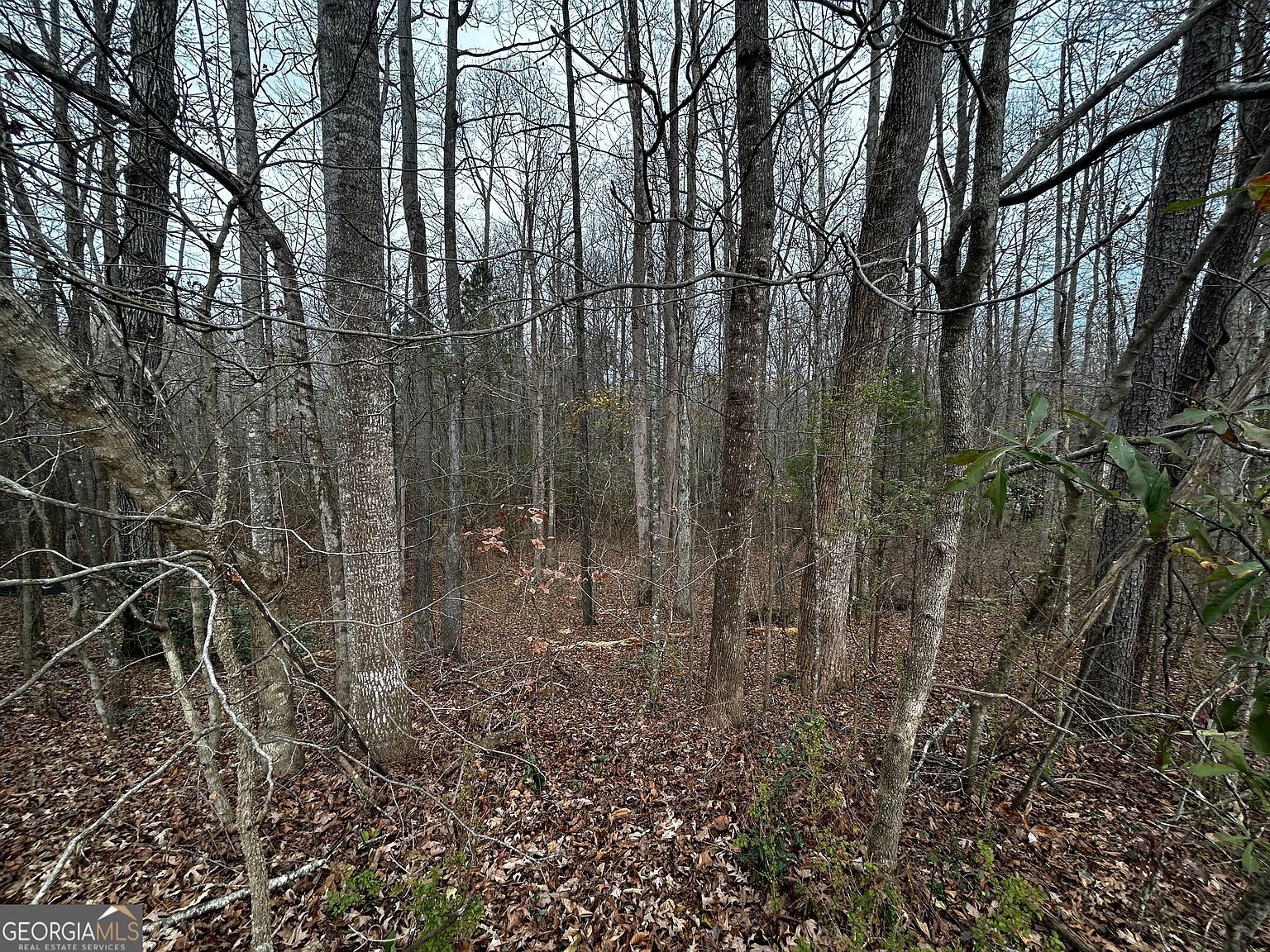 133 Four Oaks Dr Griffin, GA 30224 - Thumbnail 2