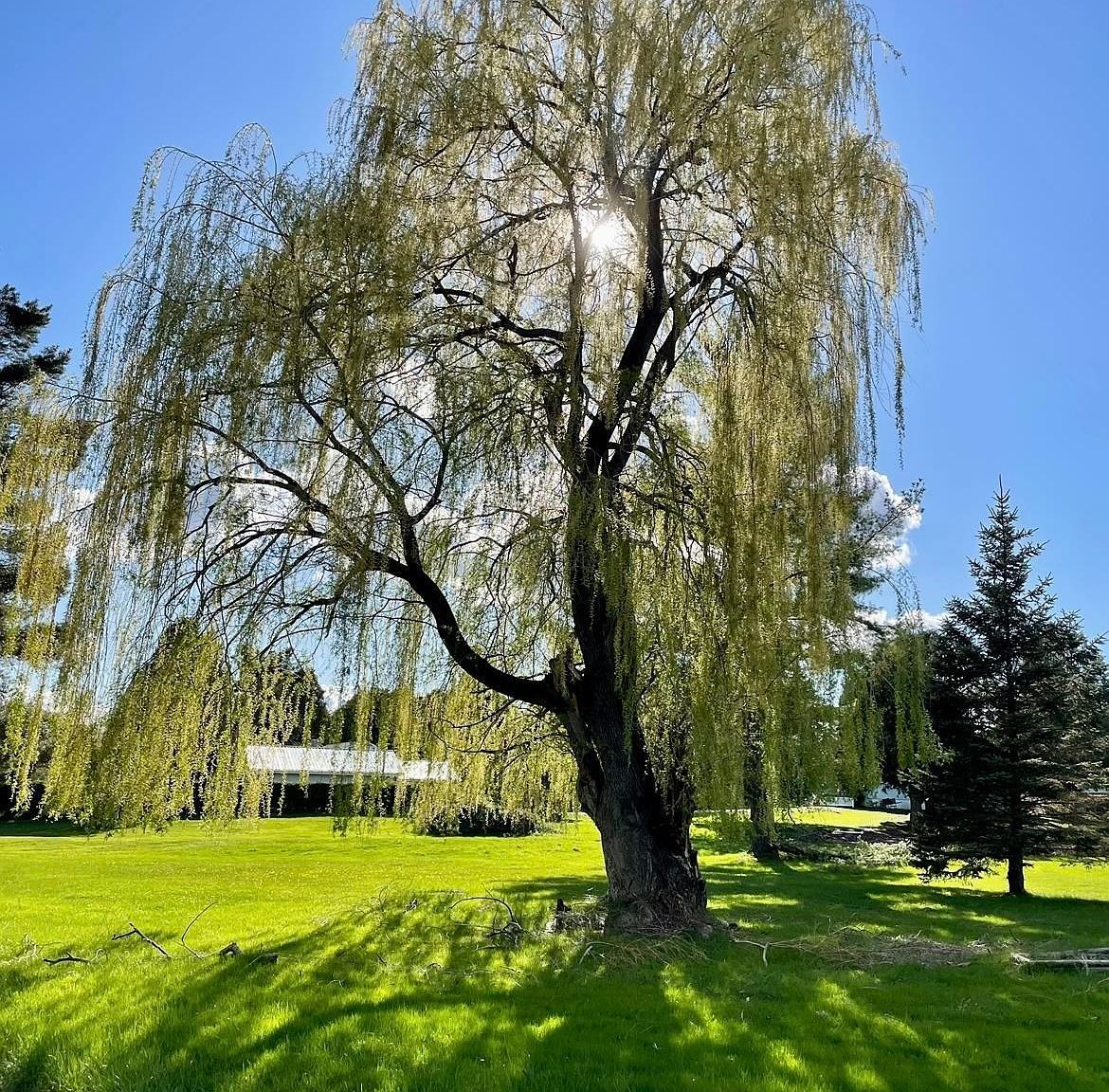 232 Lakeshore Dr Norwood, NY 13668 - Thumbnail 2