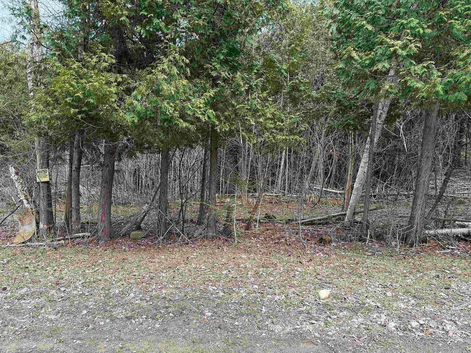 Brown Church Rd Lisbon, NY 13658 - Thumbnail 2