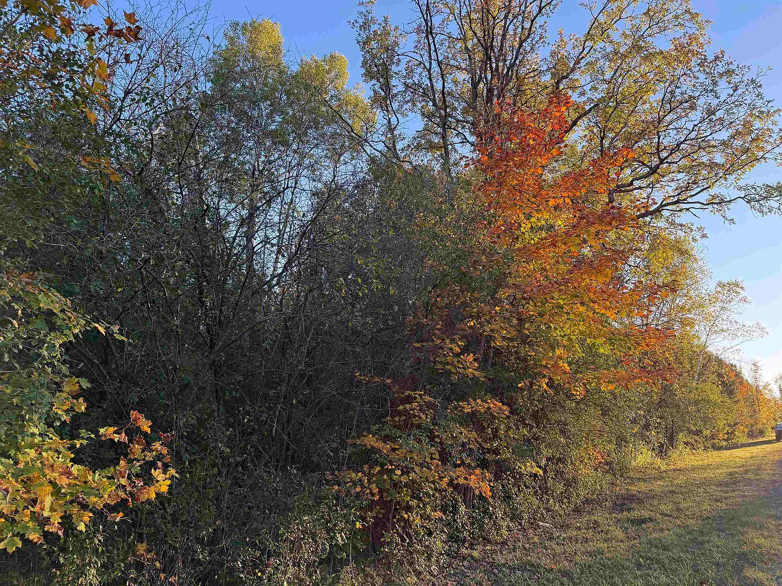 49 County Rte Winthrop, NY 13697 - Thumbnail 2