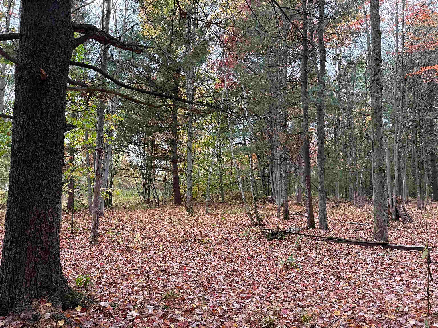 4131 State Highway 310 Norfolk, NY 13667 - Thumbnail 2