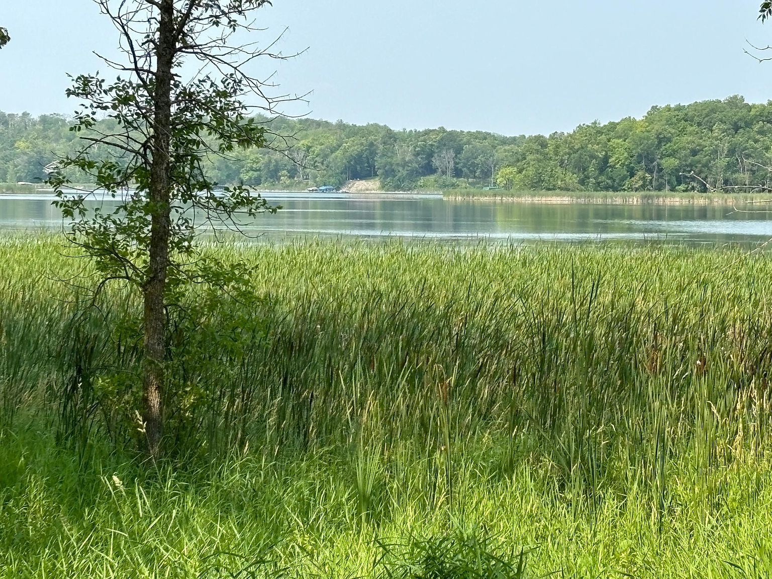1254 Island Lake Resort Dr Lengby, MN 56651  | Land/Lot