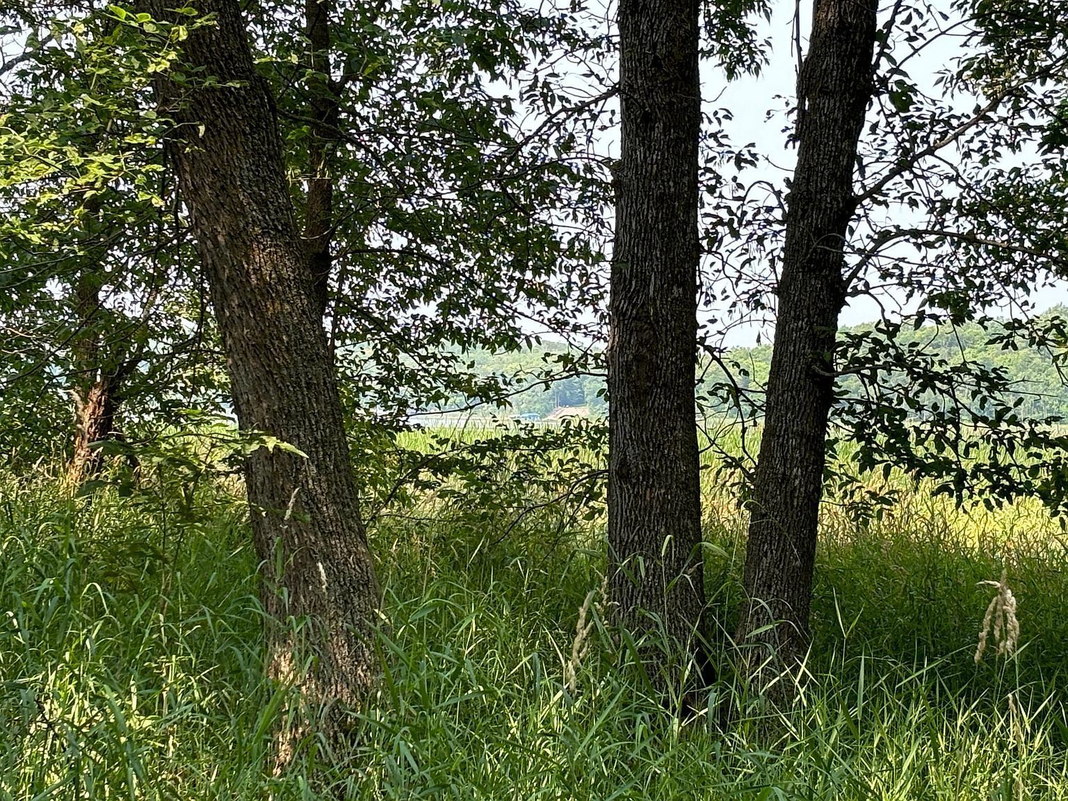 1250 Island Lake Resort Dr Lengby, MN 56651  | Land/Lot