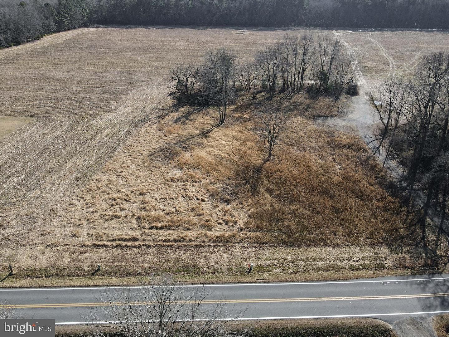 18648 Shiloh Church Rd Georgetown, DE 19947  | Land/Lot