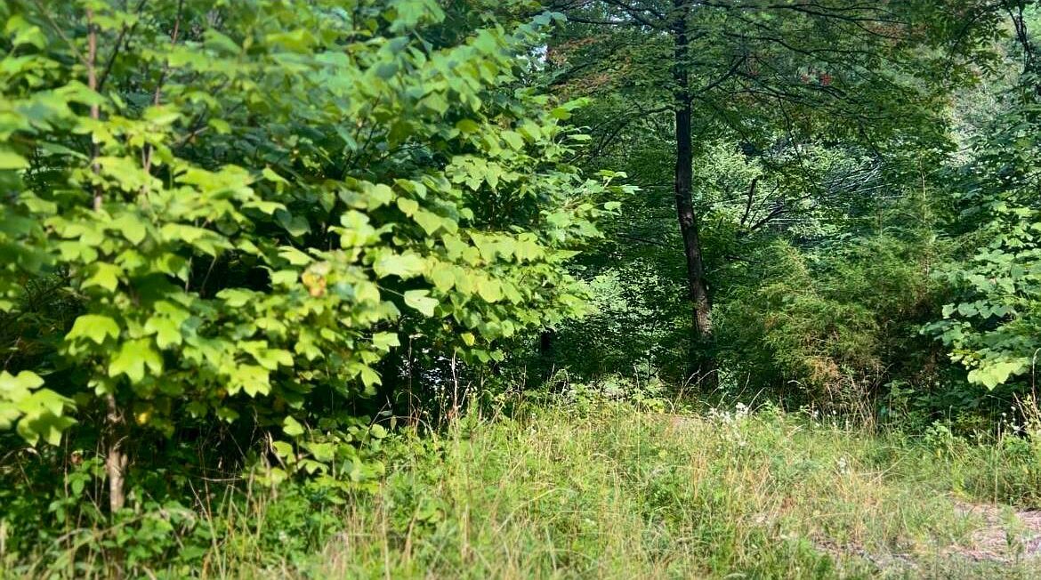 6270 Highway 192 Somerset, KY 42501 - Thumbnail 2