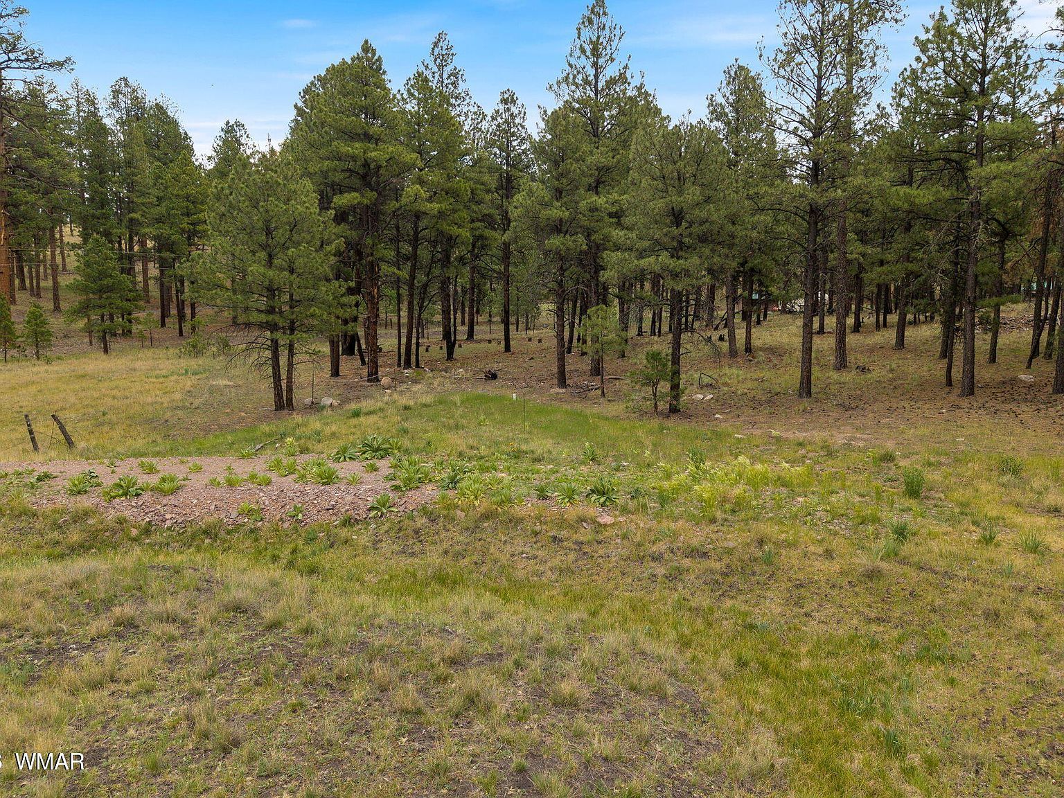 County Road 2121 Alpine, AZ 85920, 85920