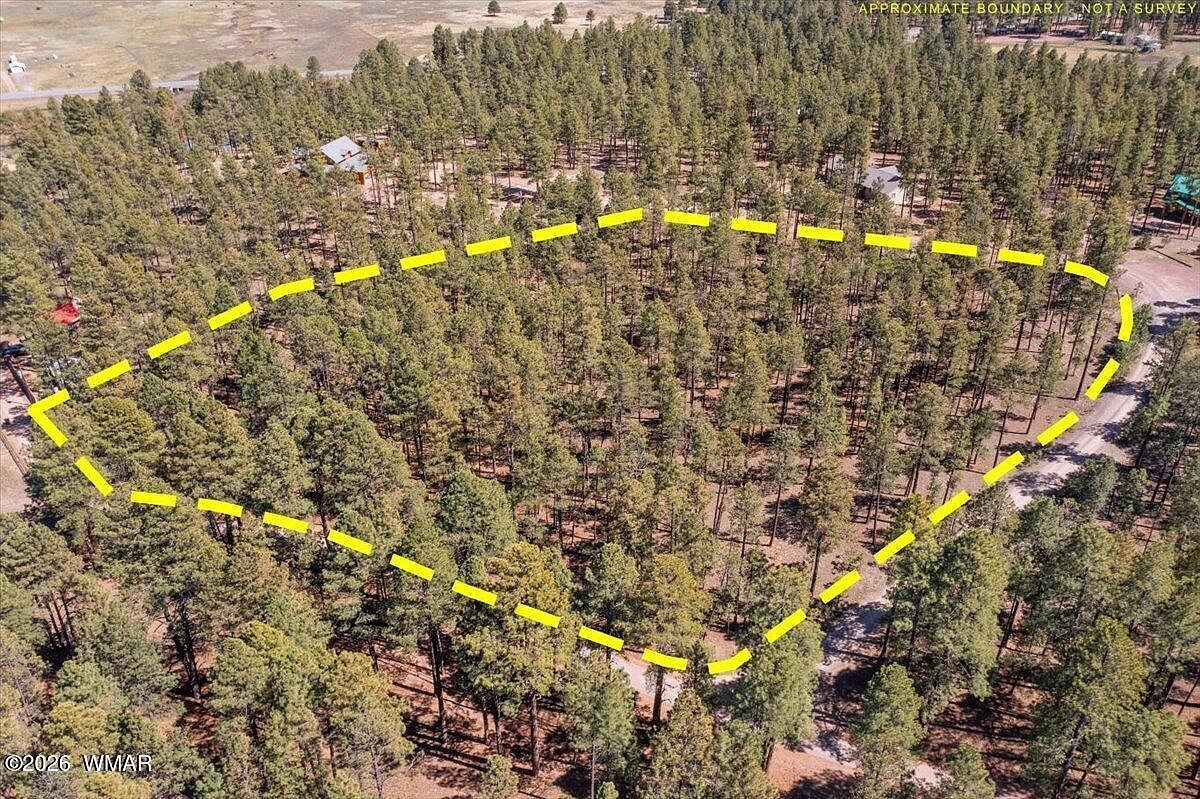County Road 2325 Alpine, AZ 85920, 85920
