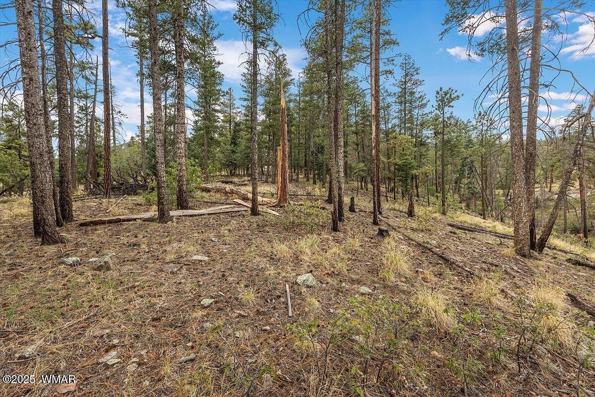 14 County Road 2074 Alpine, AZ 85920, 85920