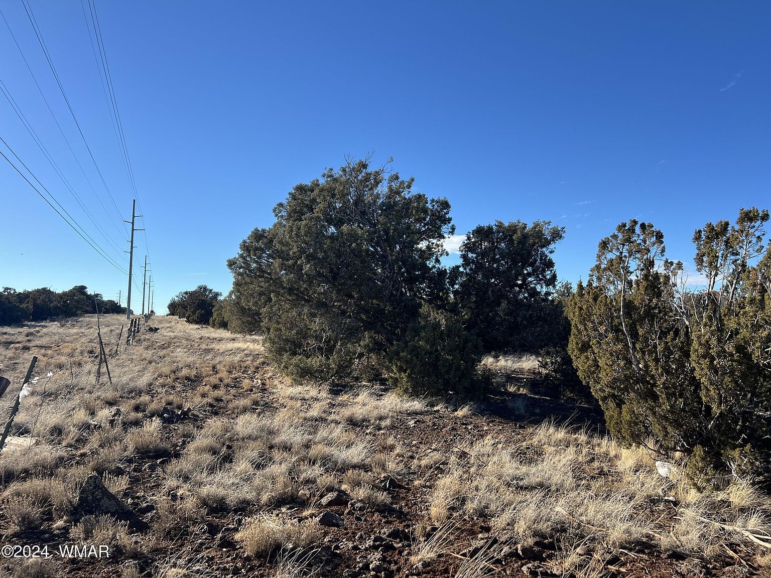 2036 Sitgreaves Ranch Rd Show Low, AZ 85901, 85901