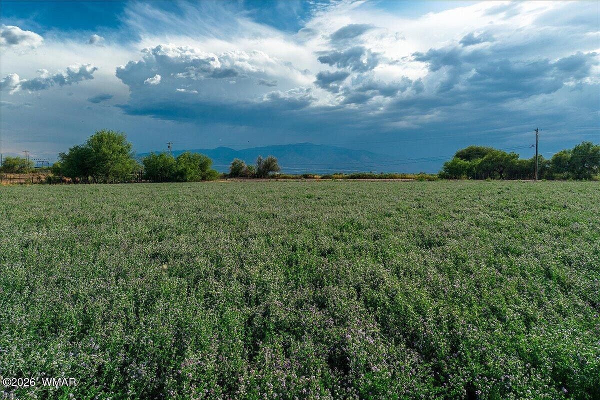 S Hancock Hollow Rd Safford, AZ 85546, 85546