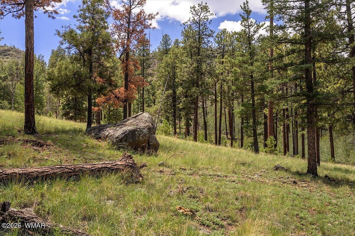14 County Road N1062 Greer, AZ 85927, 85927