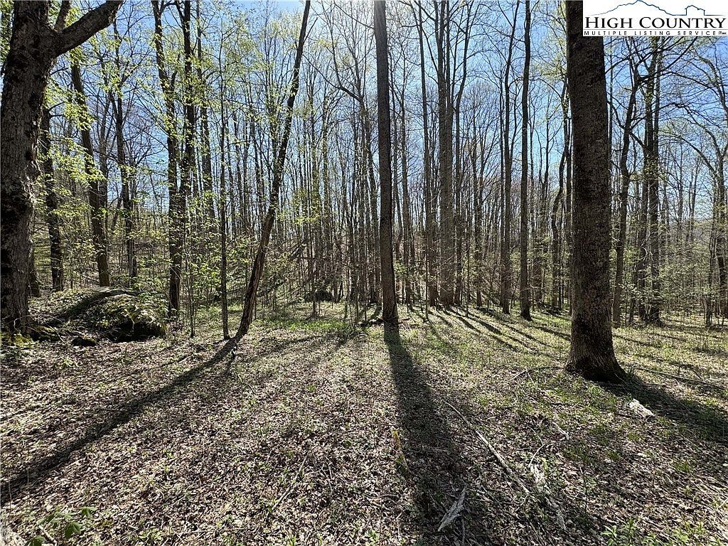 Katie Ln Bakersville, NC 28705 - Thumbnail 2