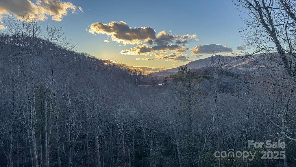 Snow Ridge Rd #35-40 Banner Elk, NC 28604 - Thumbnail 2