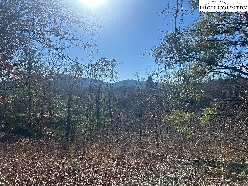 7889 Old Highway 16 Crumpler, NC 28617 - Thumbnail 2