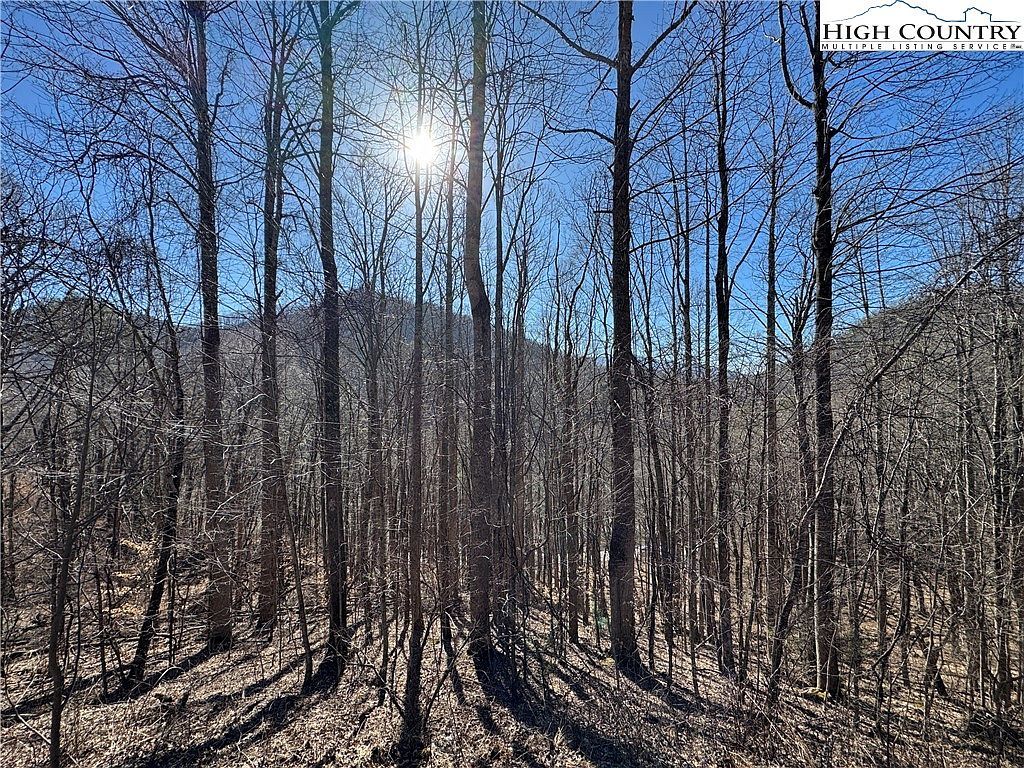 209 Hump View Trl Banner Elk, NC 28604 - Thumbnail 2