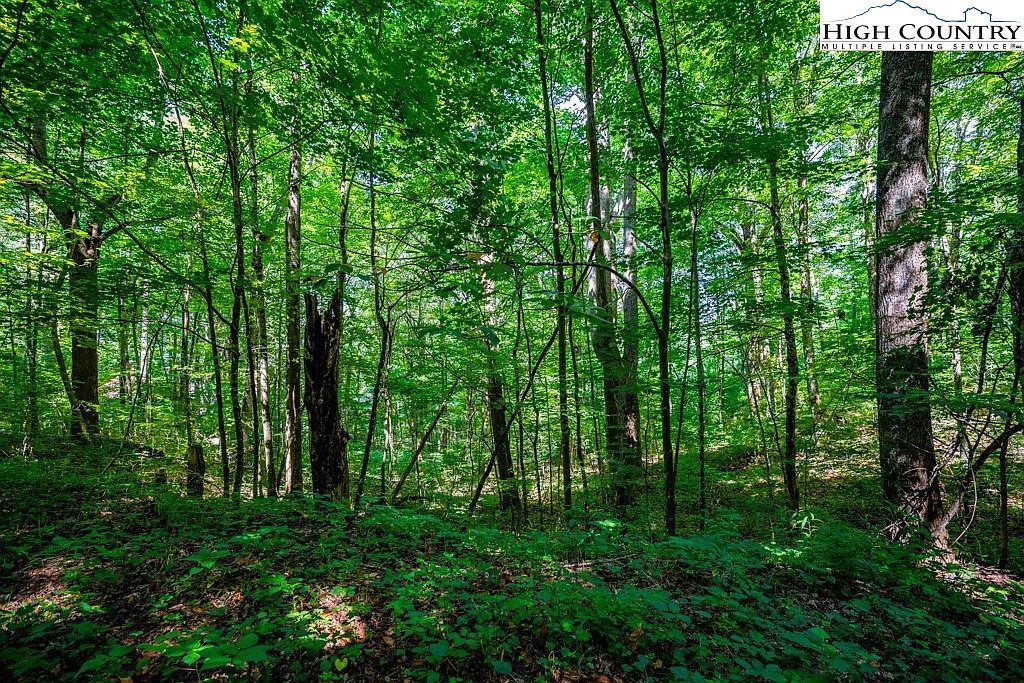 29 Marta Ln Zionville, NC 28698 - Thumbnail 2