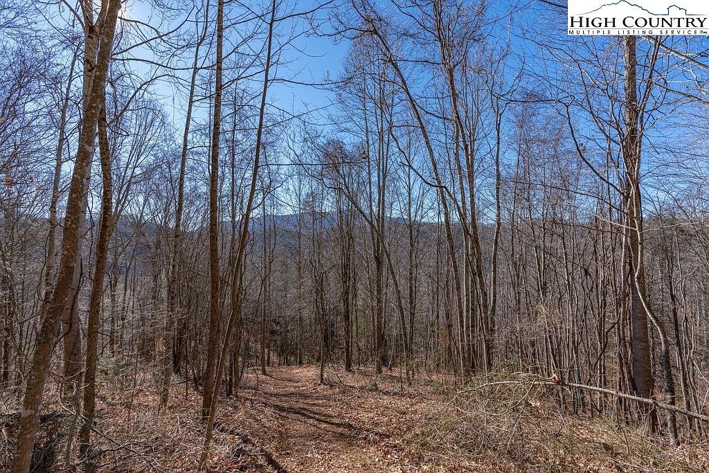 3000 Elk River Rd Elk Park, NC 28622 - Thumbnail 2