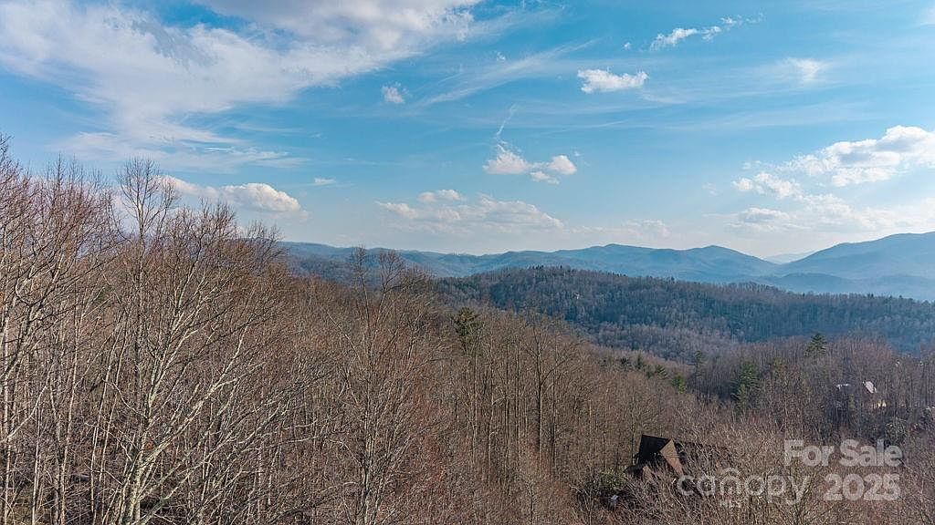 52 Pinnacle Vw Elk Park, NC 28622 - Thumbnail 2