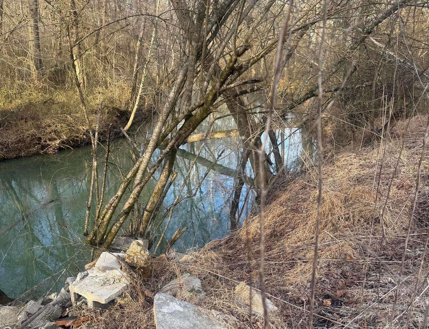 12 Burnt Mill Cir Flintstone, GA 30725 - Thumbnail 2