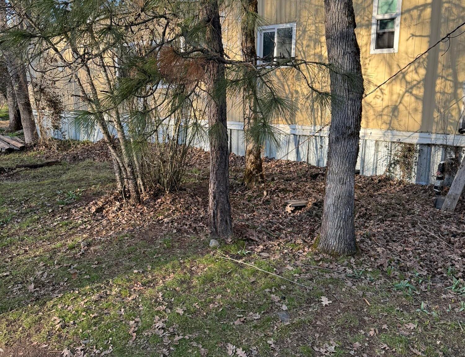 3759 Dick George Rd Cave Junction, OR 97523 - Thumbnail 2