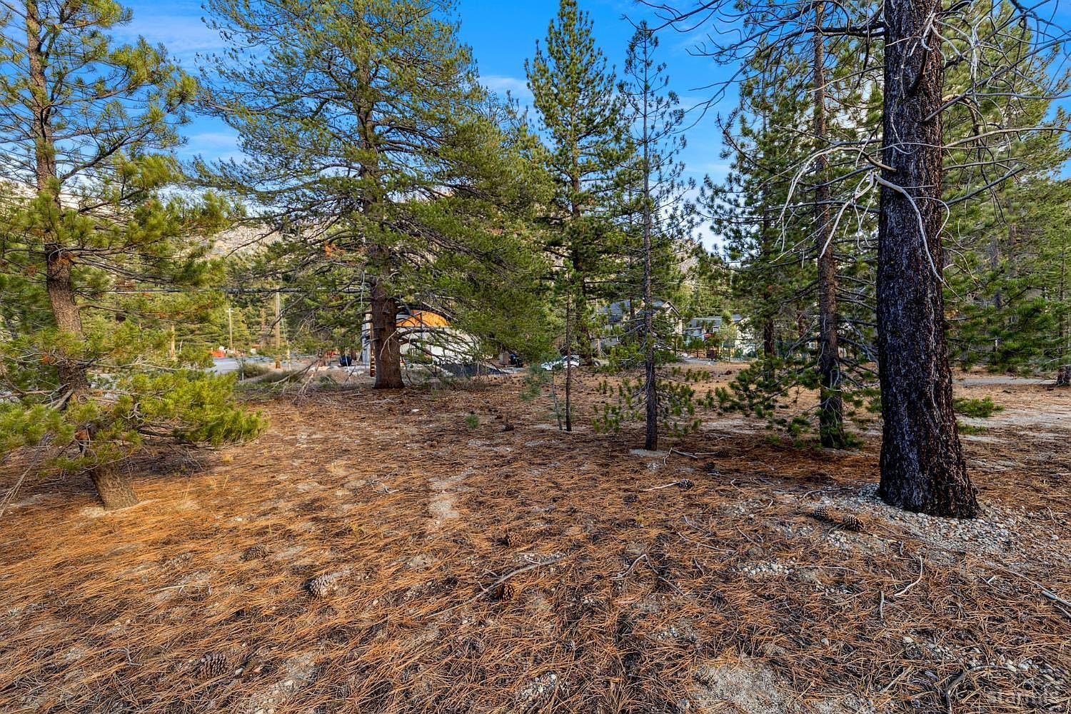 972 Shakori Dr South Lake Tahoe, CA 96150 - Thumbnail 2