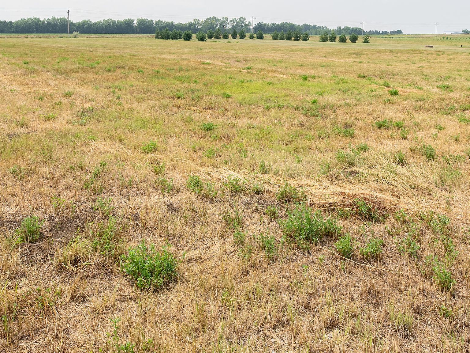 11615 Apple View Ln Menoken, ND 58558 - Thumbnail 2