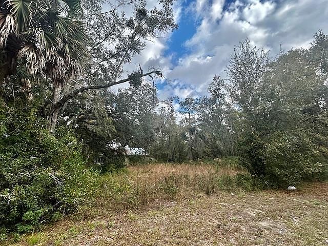 1109 E Drew St Perry, FL 32347 - Thumbnail 2