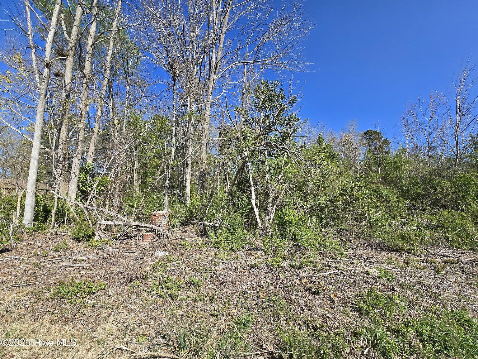 302 Spencers Ave South Mills, NC 27976  | Land/Lot