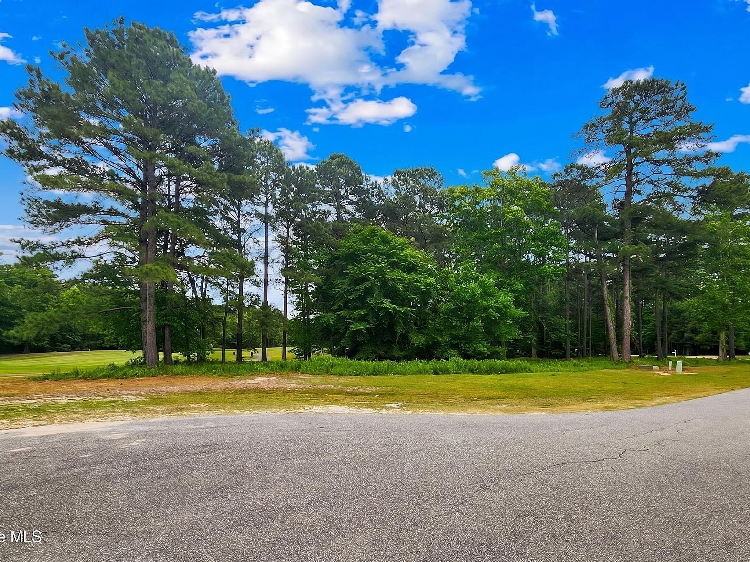 142 Scuppernong River Dr Lot 12 Hertford, NC 27944, 27944
