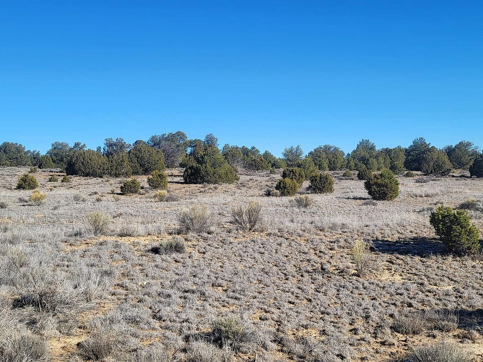 Arrowhead Rd Pinehill, NM 87357 - Thumbnail 2