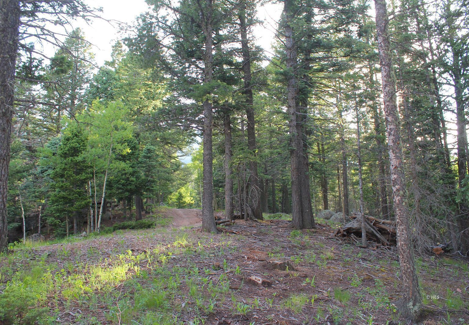 178 Simmons Rd Westcliffe, CO 81069 - Thumbnail 2