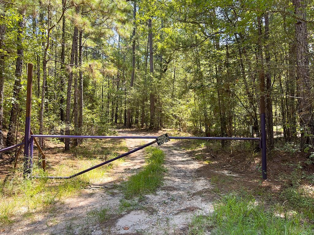 TRACT 4.4 Frazier Rd Zavalla, TX 75980 - Thumbnail 2