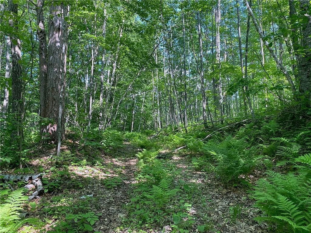 LOT 7 N Secluded Trl Hayward, WI 54843 - Thumbnail 2